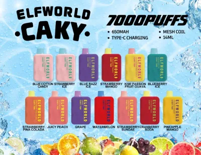 Original Elfworld Caky 7000 Puffs 14 ml vorgefüllter wiederaufladbarer Akku E-Zigarettenstift Großhandel Einweg-Vape